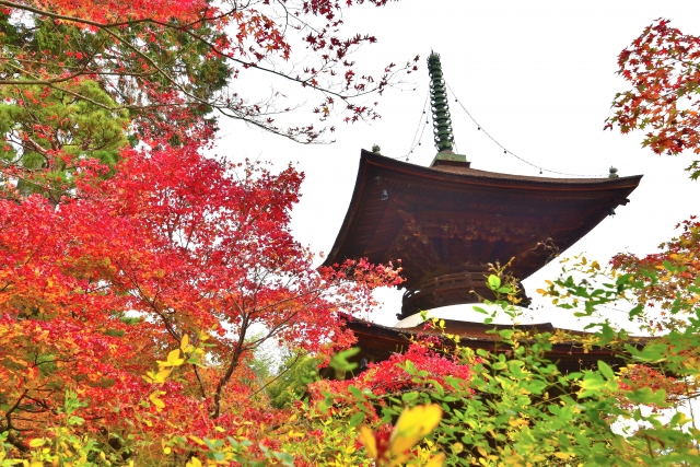 常寂光寺の概要